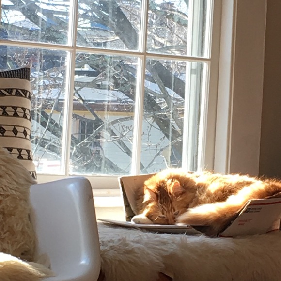 ❤️ Like to Bookmark closet ❤️ New items regularly - Picture 2 of 5